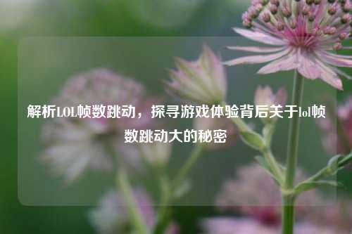 解析LOL帧数跳动，探寻游戏体验背后关于lol帧数跳动大的秘密