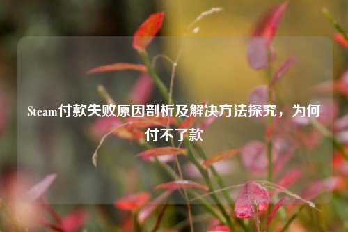 Steam付款失败原因剖析及解决方法探究，为何付不了款