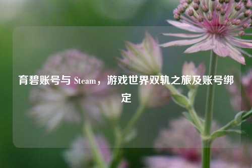 育碧账号与 Steam,游戏世界双轨之旅及账号绑定