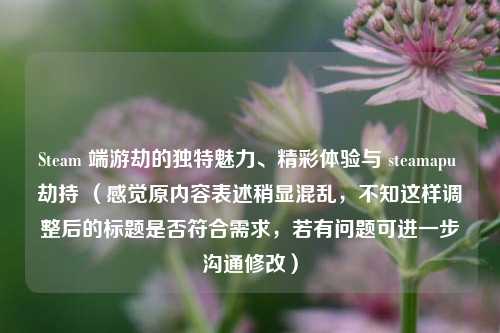 Steam 端游劫的独特魅力、精彩体验与 steamapu 劫持 （感觉原内容表述稍显混乱，不知这样调整后的标题是否符合需求，若有问题可进一步沟通修改）