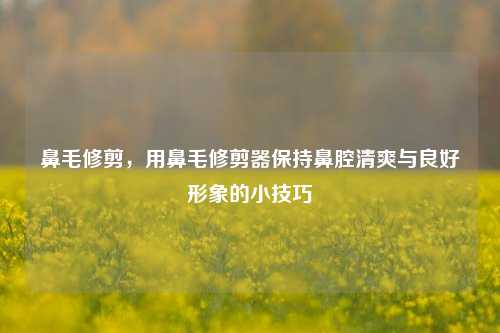 鼻毛修剪，用鼻毛修剪器保持鼻腔清爽与良好形象的小技巧