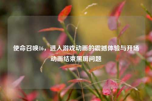 使命召唤16，进入游戏动画的震撼体验与开场动画结束黑屏问题