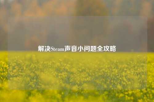 解决Steam声音小问题全攻略