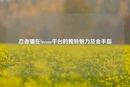 忍者猫在Steam平台的独特魅力及金手指