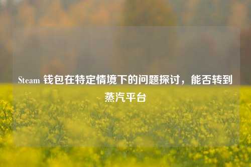 Steam 钱包在特定情境下的问题探讨，能否转到蒸汽平台