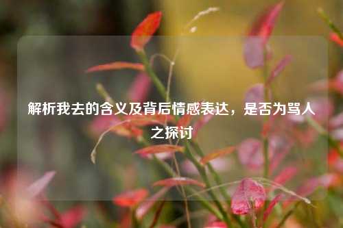 解析我去的含义及背后情感表达，是否为骂人之探讨