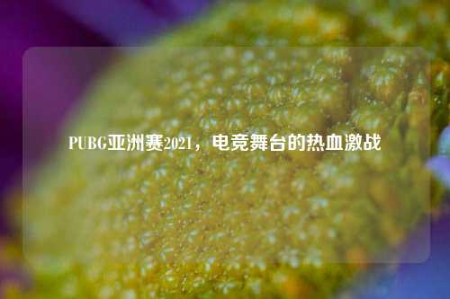 PUBG亚洲赛2021，电竞舞台的热血激战