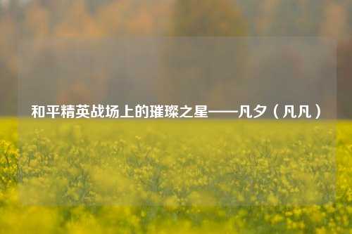 和平精英战场上的璀璨之星——凡夕（凡凡）