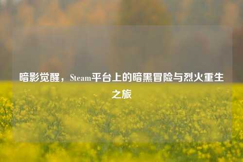 暗影觉醒，Steam平台上的暗黑冒险与烈火重生之旅