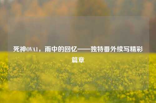 死神OVA1，雨中的回忆——独特番外续写精彩篇章