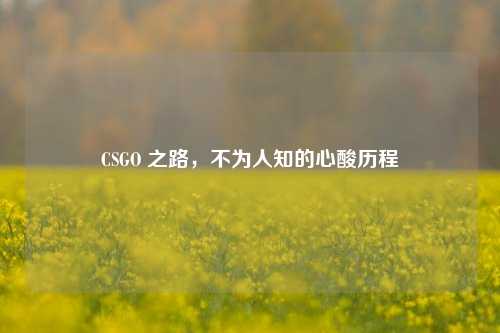CSGO 之路，不为人知的心酸历程