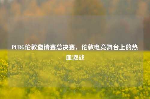 PUBG伦敦邀请赛总决赛，伦敦电竞舞台上的热血激战