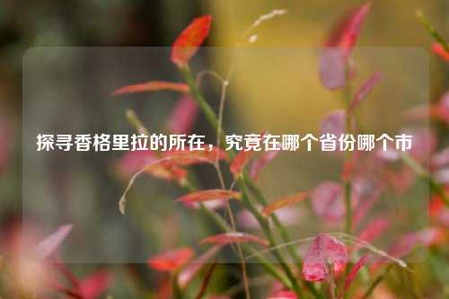 探寻香格里拉的所在，究竟在哪个省份哪个市