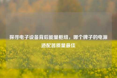 探寻电子设备背后能量枢纽,哪个牌子的电源适配器质量最佳