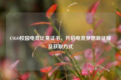 CSGO校园电竞比赛证书，开启电竞梦想新征程及获取方式