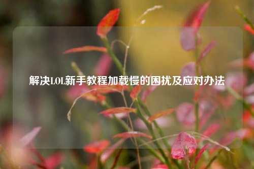 解决LOL新手教程加载慢的困扰及应对办法