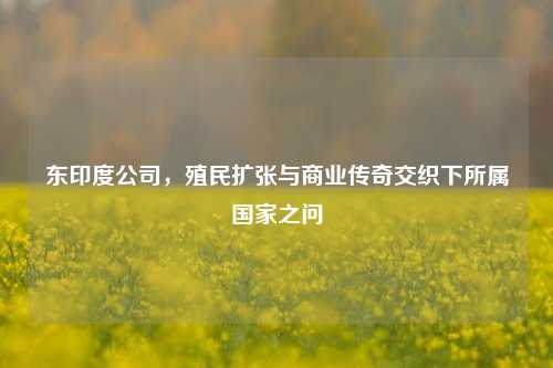 东印度公司，殖民扩张与商业传奇交织下所属国家之问