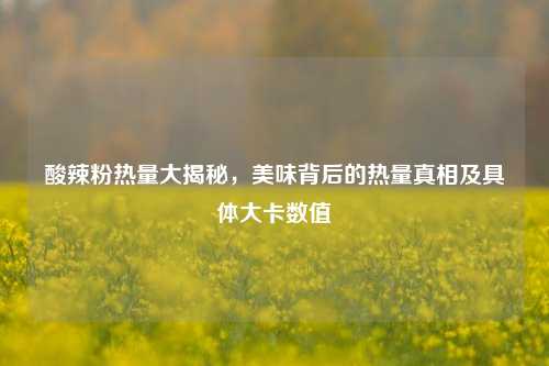 酸辣粉热量大揭秘，美味背后的热量真相及具体大卡数值