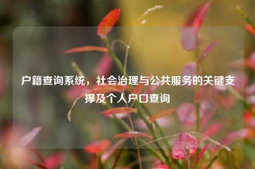 户籍查询系统，社会治理与公共服务的关键支撑及个人户口查询