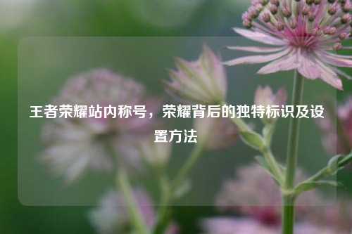 王者荣耀站内称号，荣耀背后的独特标识及设置方法