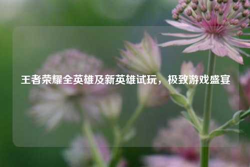 王者荣耀全英雄及新英雄试玩，极致游戏盛宴
