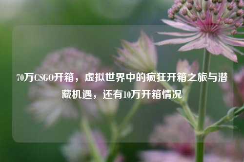 70万CSGO开箱，虚拟世界中的疯狂开箱之旅与潜藏机遇，还有10万开箱情况