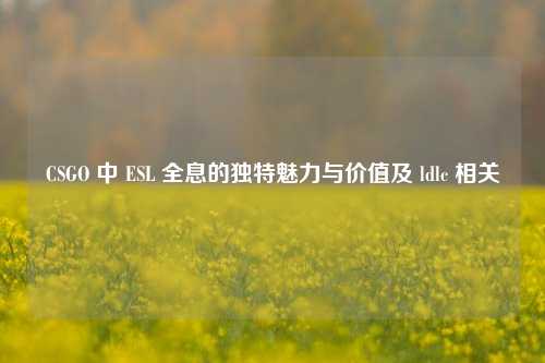 CSGO 中 ESL 全息的独特魅力与价值及 ldlc 相关