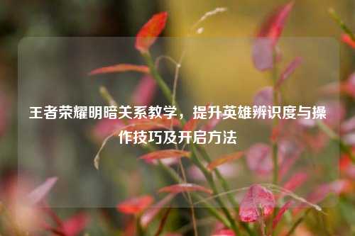 王者荣耀明暗关系教学，提升英雄辨识度与操作技巧及开启方法