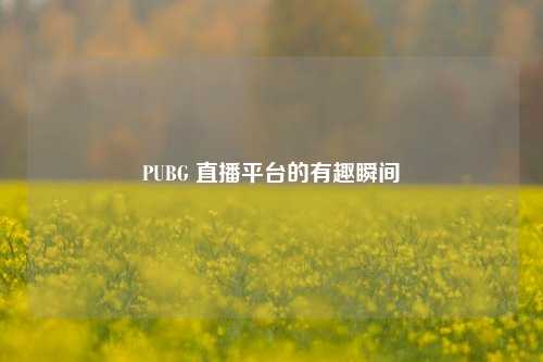 PUBG 直播平台的有趣瞬间
