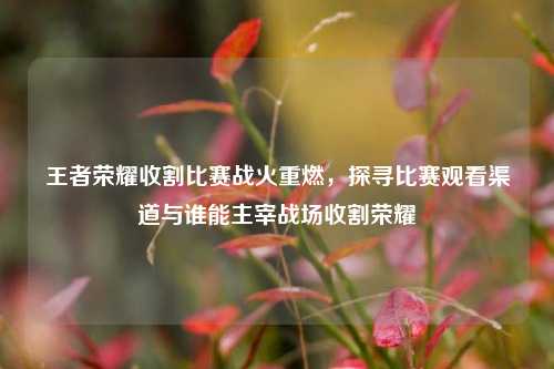 王者荣耀收割比赛战火重燃，探寻比赛观看渠道与谁能主宰战场收割荣耀