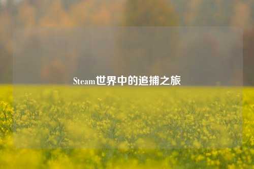 Steam世界中的追捕之旅