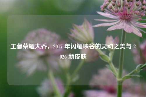 王者荣耀大乔，2017 年闪耀峡谷的灵动之美与 2026 新皮肤