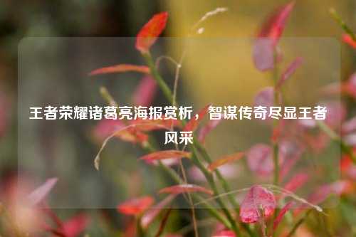 王者荣耀诸葛亮海报赏析，智谋传奇尽显王者风采