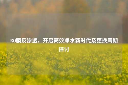 RO膜反渗透,开启高效净水新时代及更换周期探讨