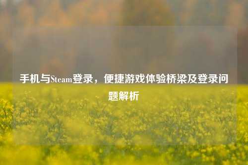 手机与Steam登录，便捷游戏体验桥梁及登录问题解析
