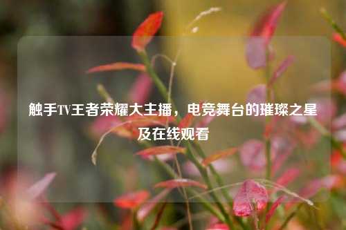 触手TV王者荣耀大主播，电竞舞台的璀璨之星及在线观看