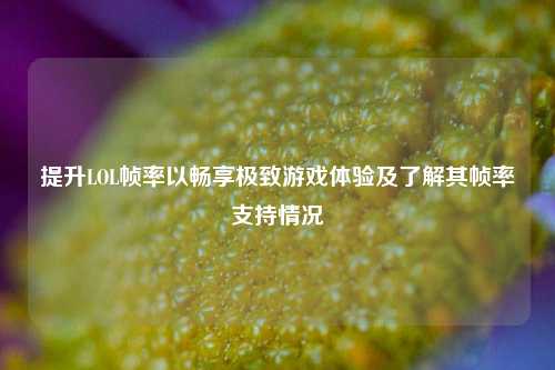 提升LOL帧率以畅享极致游戏体验及了解其帧率支持情况