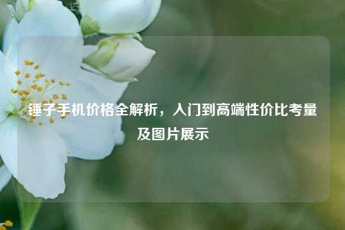 锤子手机价格全解析，入门到高端性价比考量及图片展示