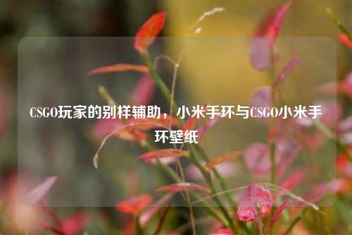 CSGO玩家的别样辅助,小米手环与CSGO小米手环壁纸