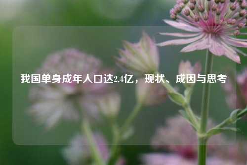 我国单身成年人口达2.4亿，现状、成因与思考