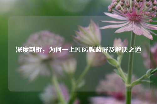 深度剖析，为何一上PUBG就蓝屏及解决之道