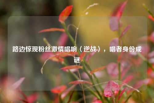 路边惊现粉丝激情唱响〈逆战〉，唱者身份成谜