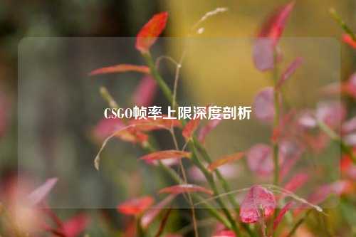 CSGO帧率上限深度剖析