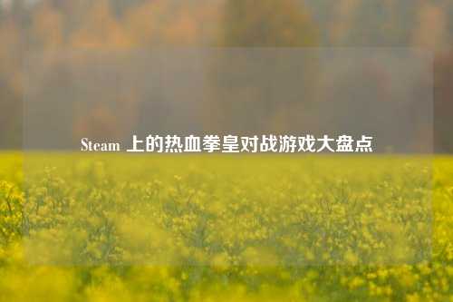 Steam 上的热血拳皇对战游戏大盘点