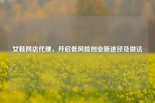 女鞋网店代理,开启低风险创业新途径及做法