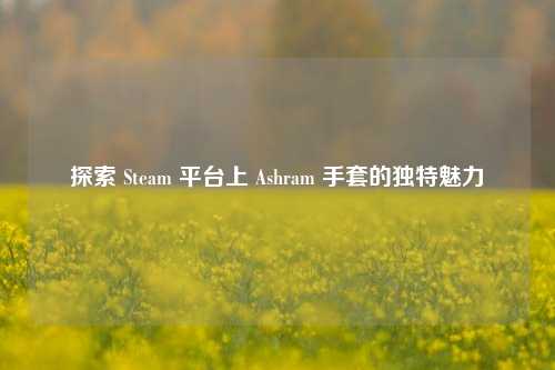 探索 Steam 平台上 Ashram 手套的独特魅力