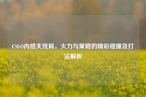 CSGO内格夫残局,火力与策略的精彩碰撞及打法解析