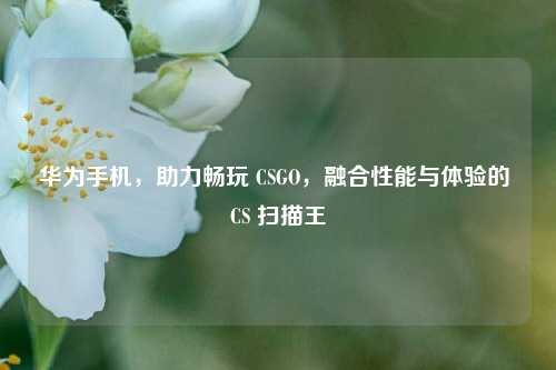 华为手机，助力畅玩 CSGO，融合性能与体验的 CS 扫描王