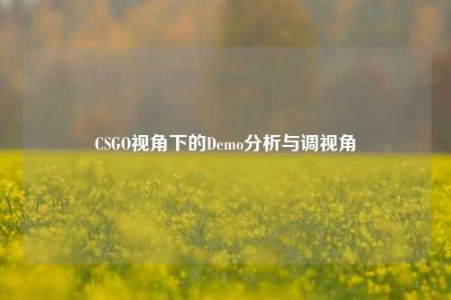 CSGO视角下的Demo分析与调视角