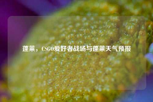 蓬莱，CSGO爱好者战场与蓬莱天气预报
